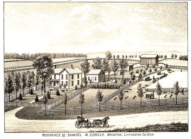 Residence of Samuel M. Conely, Brighton, Livingston Co. Mich illustration